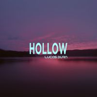 Hollow by Lucas Burn