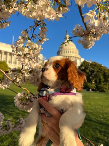 Eloise lives in D.C. now
