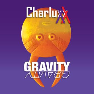 Charluxx // Gravity Cover