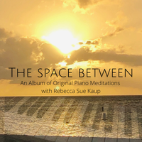 THE SPACE BETWEEN by Rebecca Sue Kaup