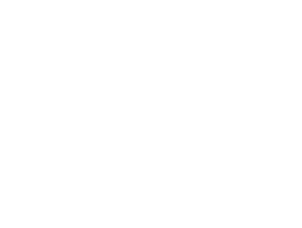 Mr. Flip - Logo