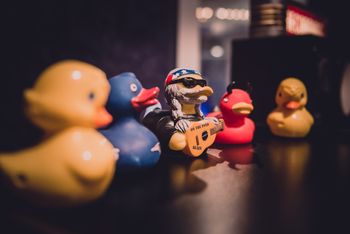 The studio requires both creativity and precision. Gotta have your ducks in a row.
