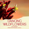 Dancing Wildflowers