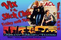 Vix and the Slick Chix@Maleny Music festival