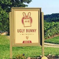 Stevie Eyer solo at The Ugly Bunny Winery
