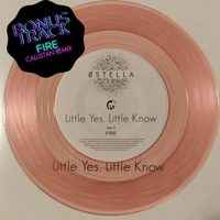 Little Yes, Little Know: Vinyl