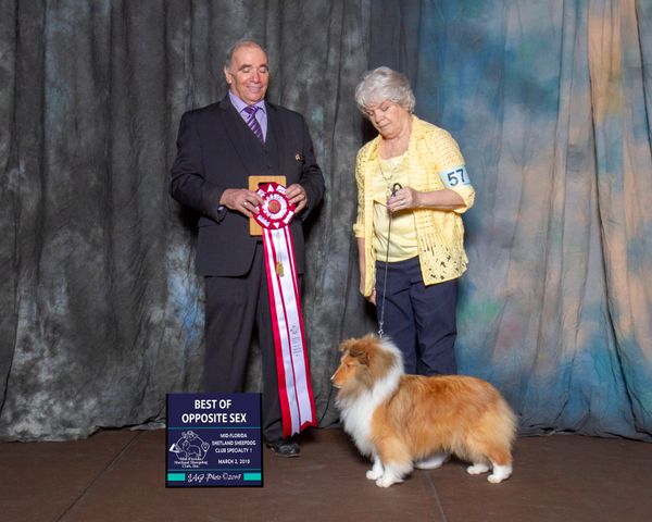 Grand Champion at 9 month old