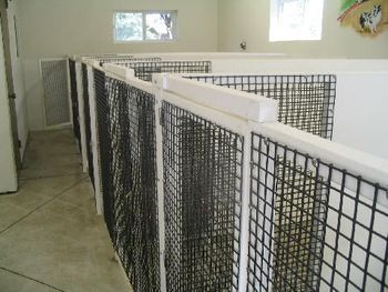 Our kennel inside

