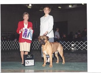 Blaze's Son "Rudy" BOW at the Midwest Ch. Gaffle's Rudolph Valentino. He is pictured here at 14 months.
