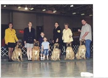 L to R. Hoolie, Rudy, Kiara (Ch. Gaffles Kiara), Mira (Ch. Gaffles Mirror Mirror of Malone of Storybook), Ch. Allstars Moses Malone (WD Nationals 2000). All Blaze's Kids!
