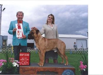 Breeder Owner Handled Group 2 "Rudy" one of many group placements for Rudy
