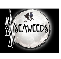 Cancelled: SeaWeeds @ Woodbury July 4 Fireworks (with Free Falling)