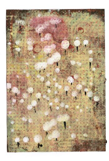 Dandelions
