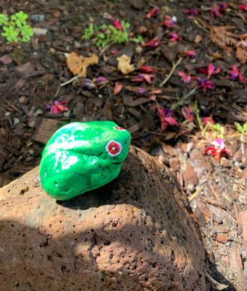 The little frog greets my students
