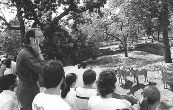 Nurock conducts participants singing to a group of Zebras at Chicago's Lincoln Park Zoo, 1981.
