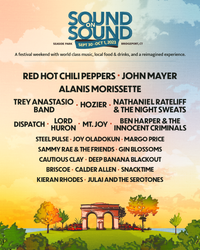 JULAI and the Serotones at Sound on Sound Festival