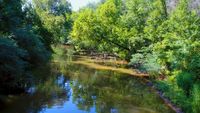  Forest / River -1080p -24 fps 