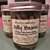 Dilly Beans-Now Shipping