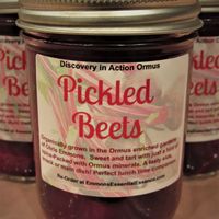 Pickled Beets-NOW SHIPPING
