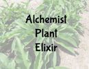 Alchemist Plant Elixir-5 oz