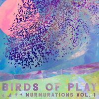Murmurations Vol 1 by Birds of Play