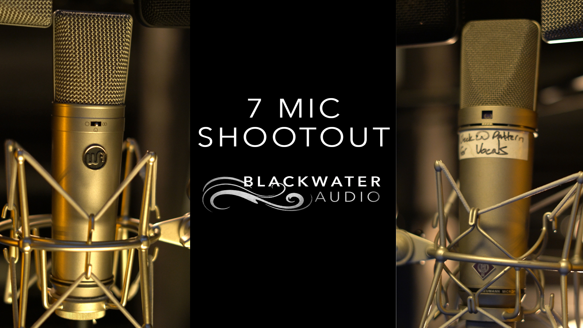 7 Vocal Mic Shootout on Female Speaking Voice