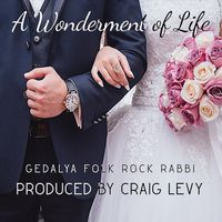 A Wonderment of Life  by Gedalya Folk Rock Rabbi NYC Singer Songwriter 