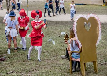 The Valentines, Splendour in the Grass 2014
