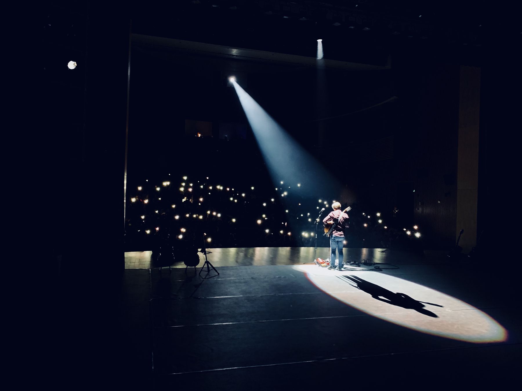 Alexandr Misko Shows