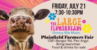 LARGE Flowerheads at Plainfield Twp Farmers Fair