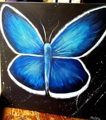 20 Blue Butterfly
