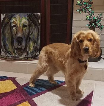 Maxx and his Portrait- For Patricia Warrior of Breast Cancer
