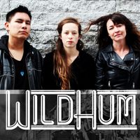 Wild Hum by Wild Hum feat. Hannah Rooth