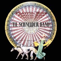 Playful Mind by Til Schneider Band