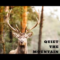 Quiet The Mountain - Live at the Ellicott City Music Festival