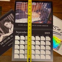 ONE LEFT! Ltd Edition Hand Numbered GG Allin 2023 Calendar