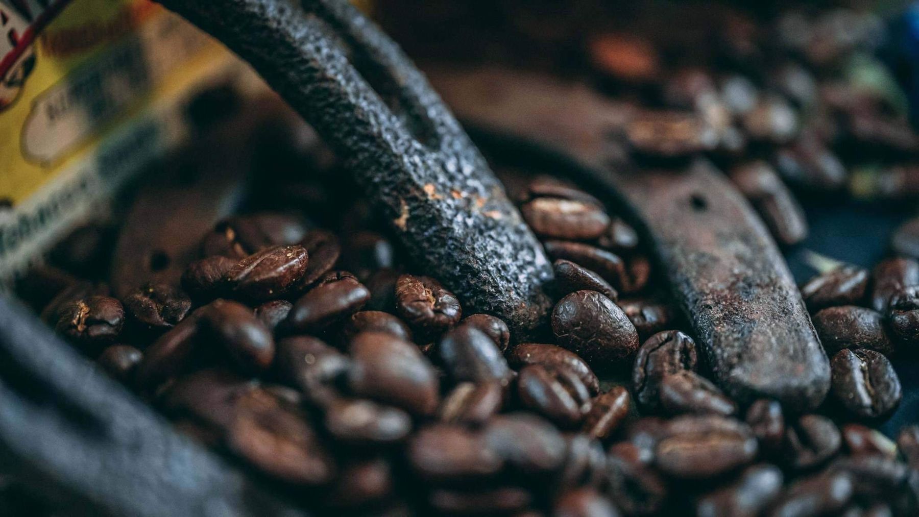 The Fringe Coffee House Coffee Shop