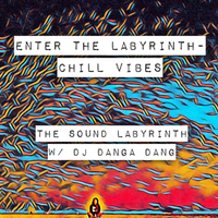 #2 Enter The Labyrinth- Chill Vibes