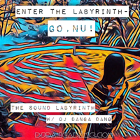 #13 Enter The Labyrinth- Go, Nu! by Dj Danga Dang