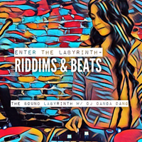 #9 Enter The Labyrinth- Riddims & Beats by Dj Danga Dang