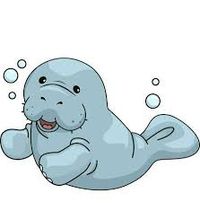 34th ANNUAL FLORIDA MANATEE FESTIVAL 2020