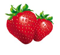 Floral City Strawberry Festival - 34th Annual