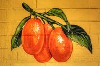 ANNUAL KUMQUAT FESTIVAL