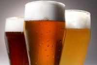 Dunedin House of Beer Night Market