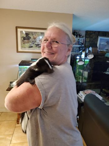 Cherry is adopted
