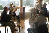 Tuba4 performs at the Canada Day Celebrations in Metchosin