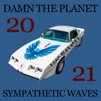 Sympathetic Waves by Damn the Planet