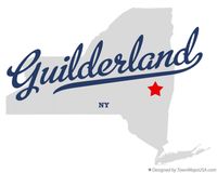 Guilderland Festival, Guilderland NY