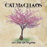 2016 Gone, Not Forgotten by Calm & Chaos