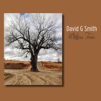 RELEASE DAY FOR THE NEW ALBUM: WITNESS TREES